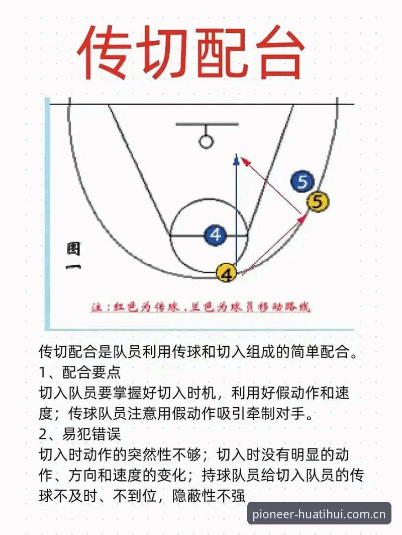 华体会官网 新手入门华体会体育,这些实战经验让你少走弯路